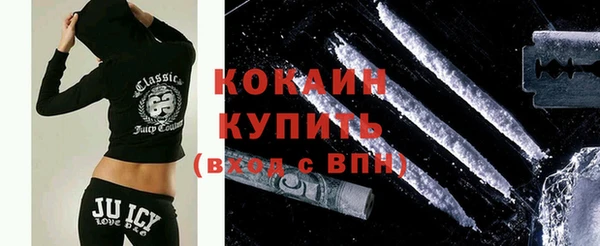 шишки Балахна