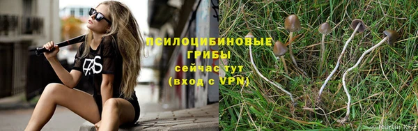 шишки Балахна