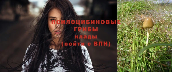 шишки Балахна